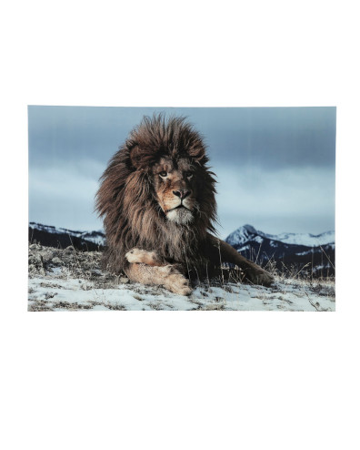 CUADRO LEON ORGULLOSO