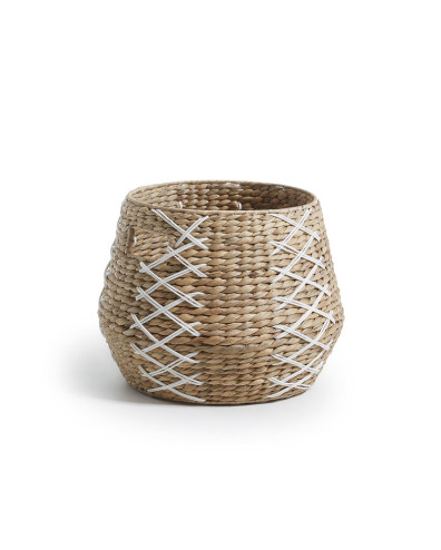 CESTA BRIST
