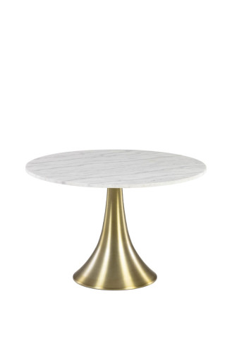 MESA GULL