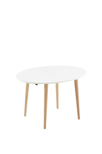 MESA FINLAND
