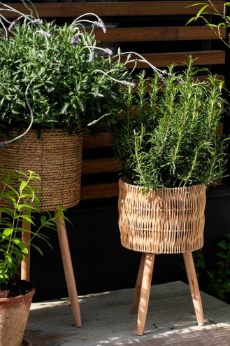 SET 2 MACETEROS ZARYA