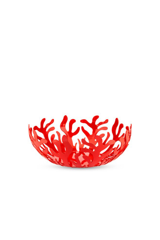 MEDITERRÁNEO FRUTERO