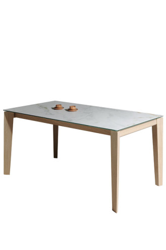 MESA GEO